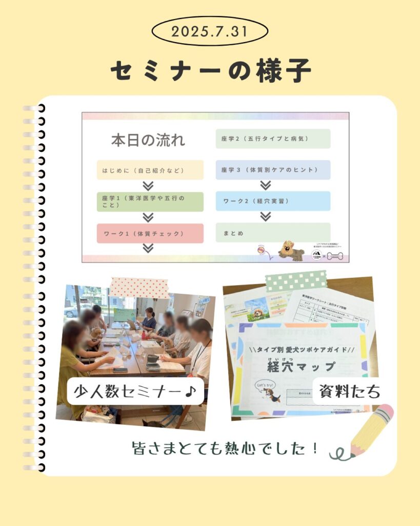 みずほ動物病院の東洋医学セミナー開催の様子の写真その2
