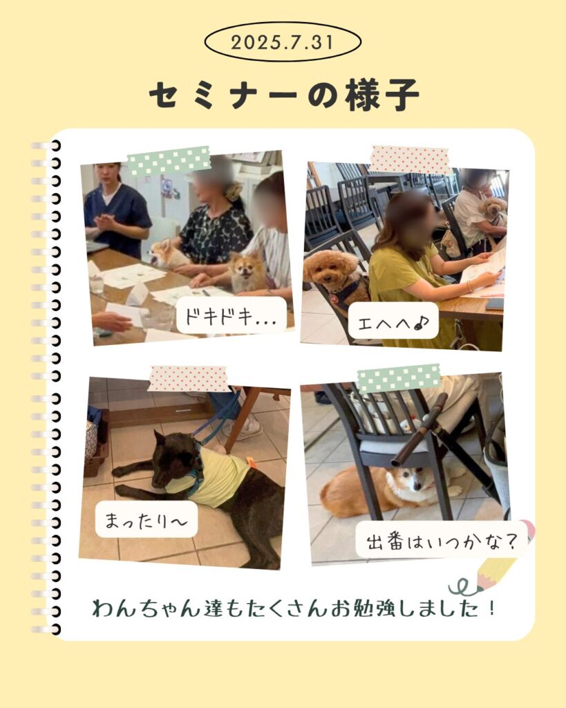 みずほ動物病院の東洋医学セミナーの開催の様子の写真その3