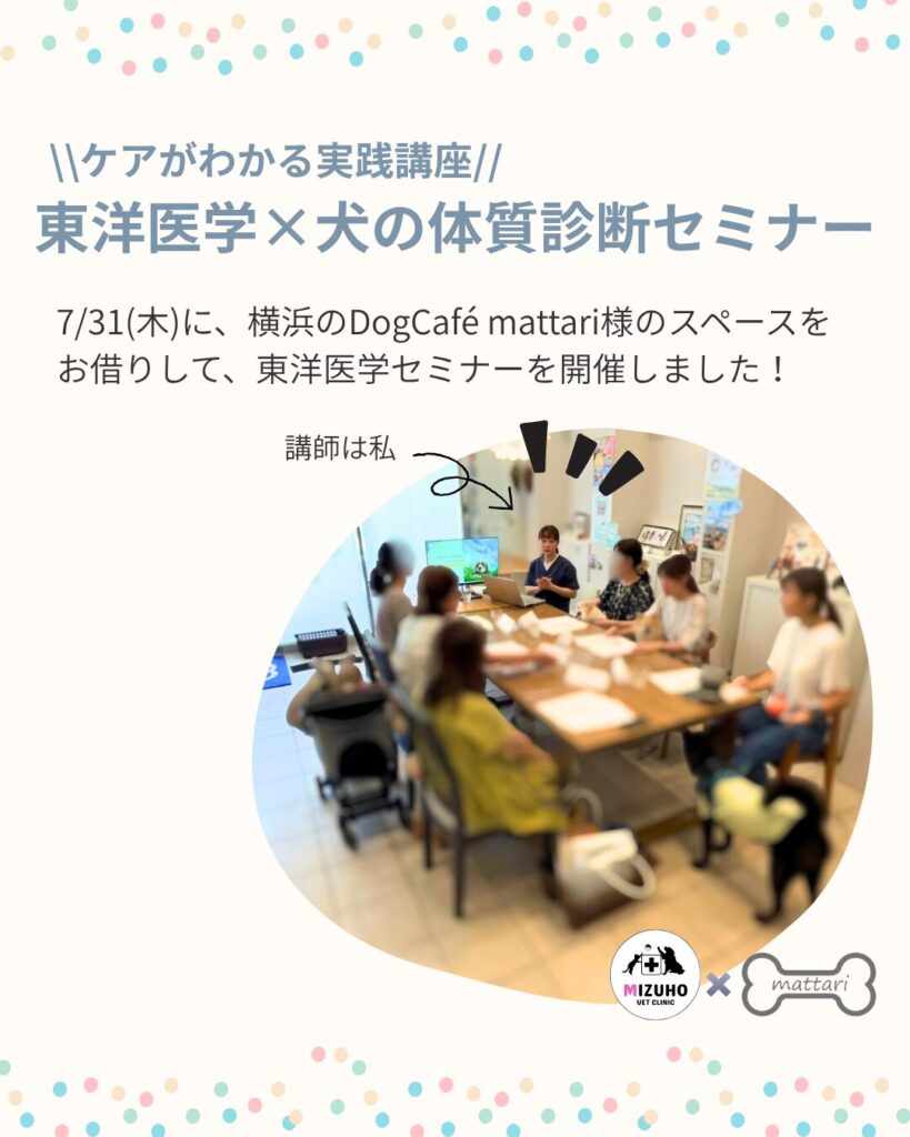 みずほ動物病院の東洋医学セミナーの開催の様子の写真