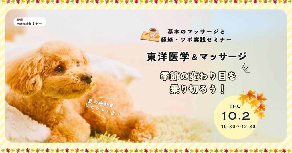 みずほ動物病院開催の愛犬の東洋医学とマッサージセミナーのアイキャッチ画像