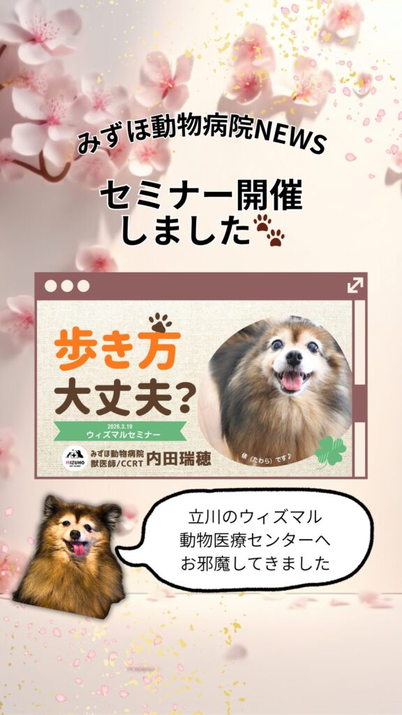 みずほ動物病院のセミナー開催のお知らせ