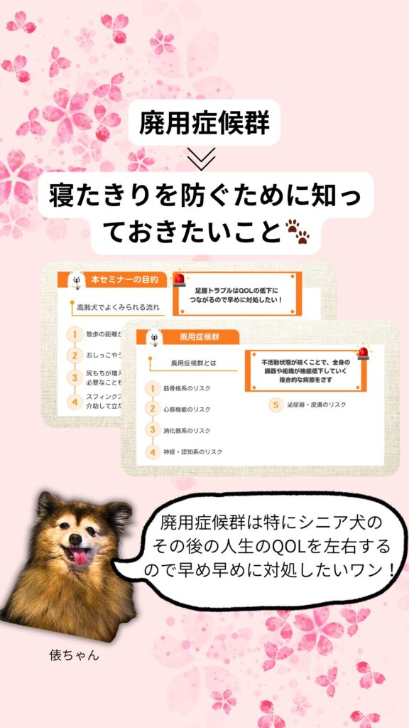 みずほ動物病院 動物病院向けセミナー内容